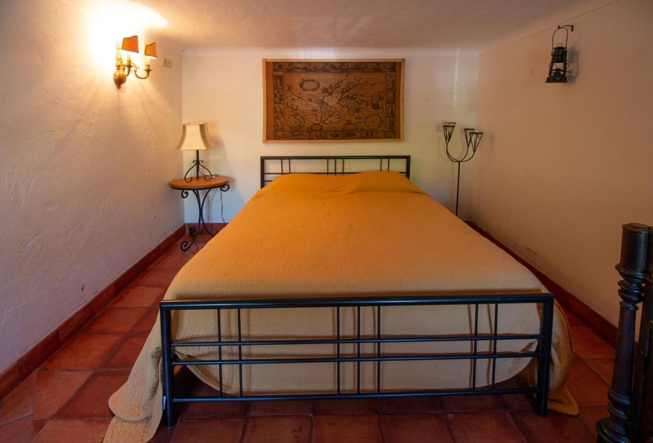 Quinta De Rio Alcaide Villa Porto de Mos  Luaran gambar